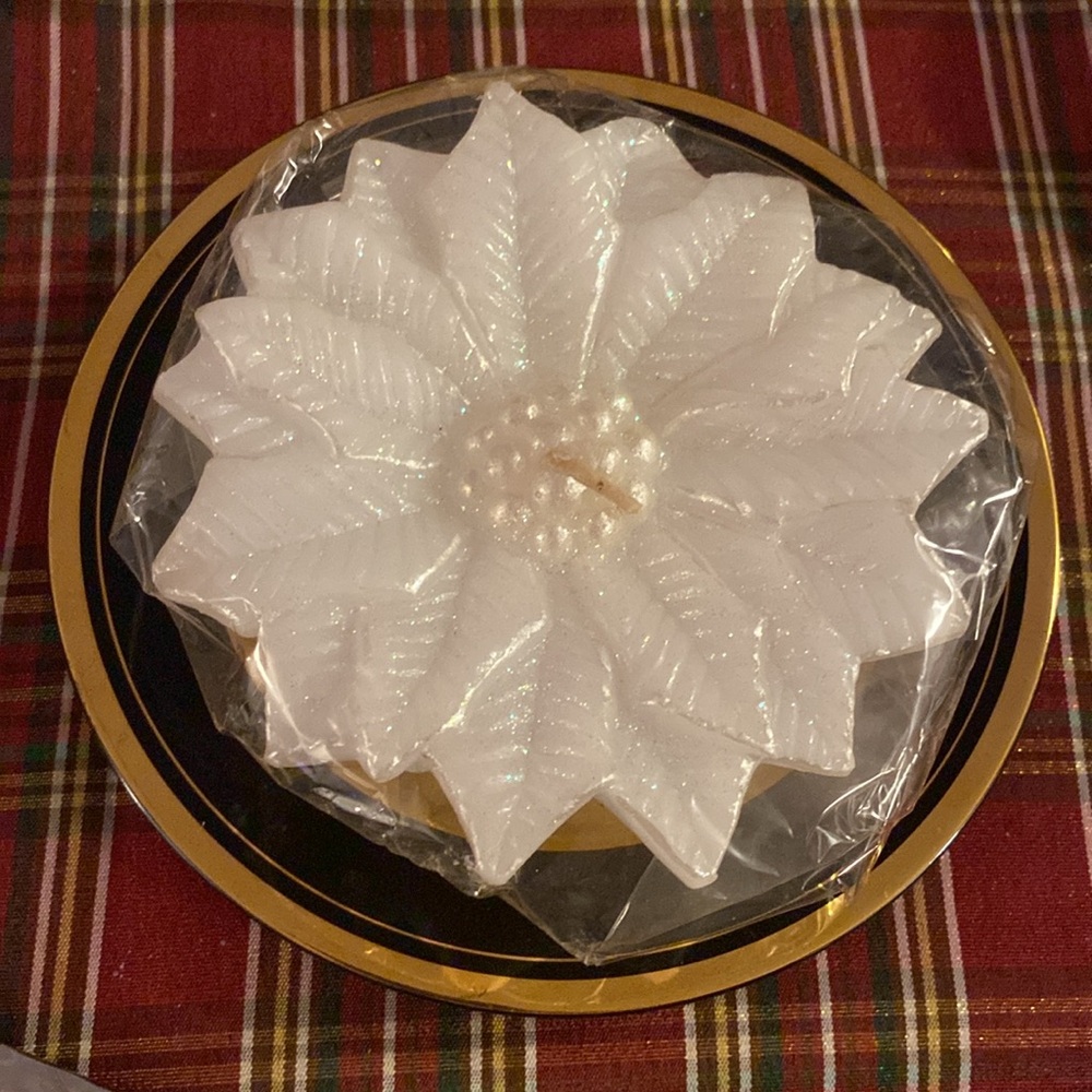 New white poinsettia candle